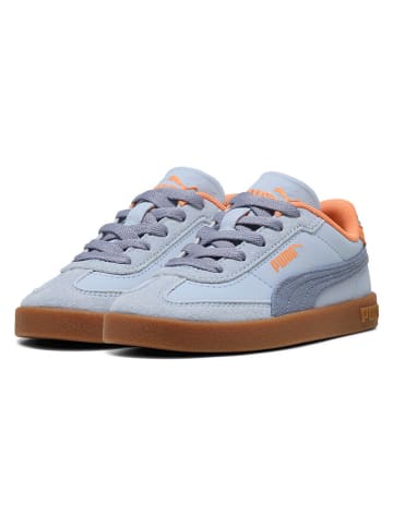 Leren sneakers "Club II Era Summer" lichtblauw