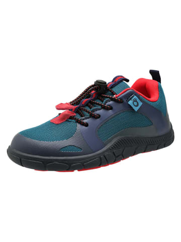 Barfußschuhe in Blau