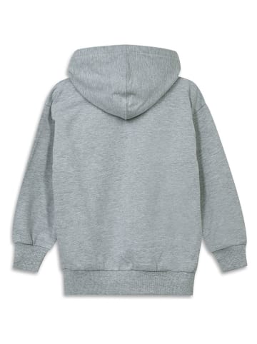 LEGO Hoodie in Grau