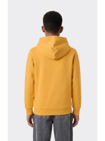Champion Bluza w kolorze żółtym