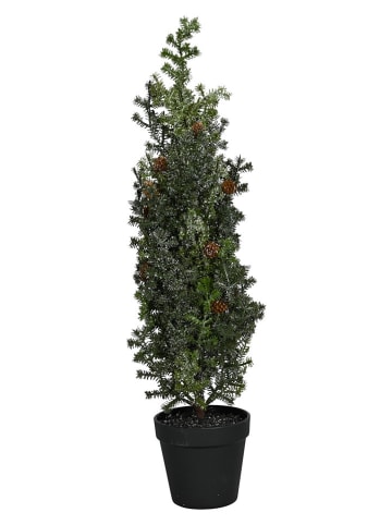 Drzewko dekoracyjne w kolorze zielonym - wys. 60 cm
