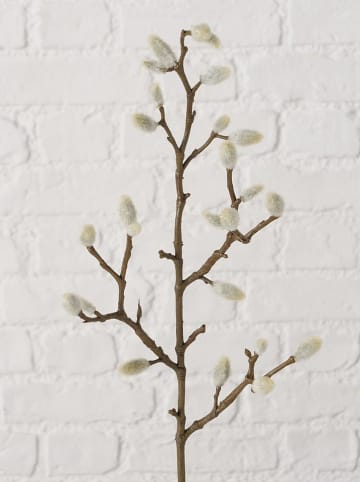 Dekoracyjna gałązka "Willow catkins" w kolorze brązowo-białym - wys. 54 cm