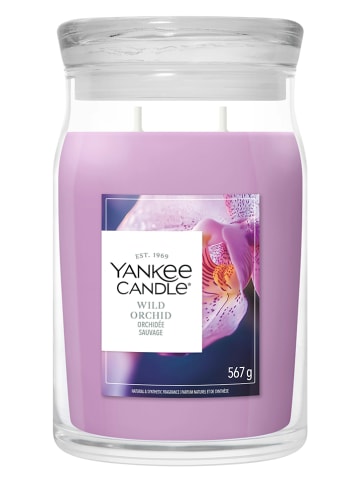 Geurkaars - Wild Orchid - 567 g