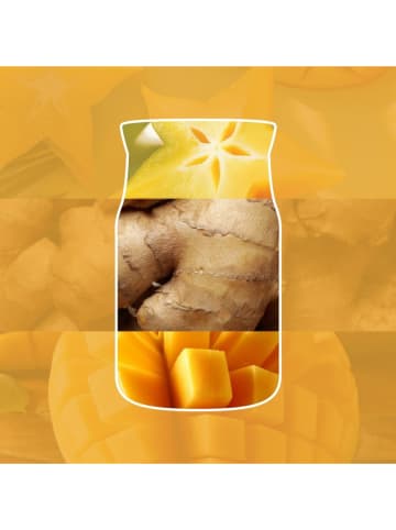 Duftkerze - Starfruit & Sunshine - 567 g