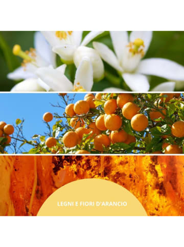Perfumy do pomieszczeń "Legni E Fiori D-Aranico" - 100 ml