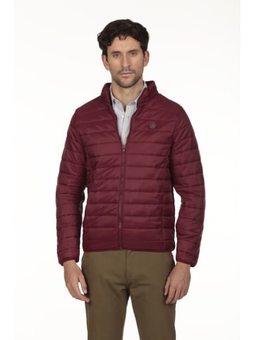 Steppjacke in Bordeaux