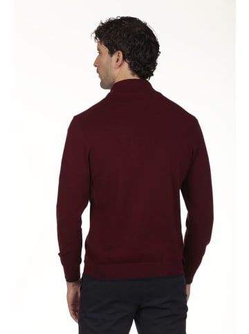 Pullover in Bordeaux