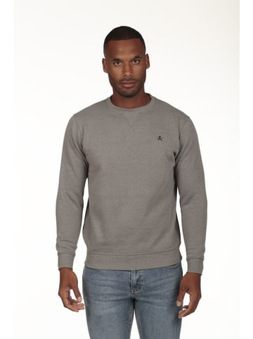 Sweatshirt grijs