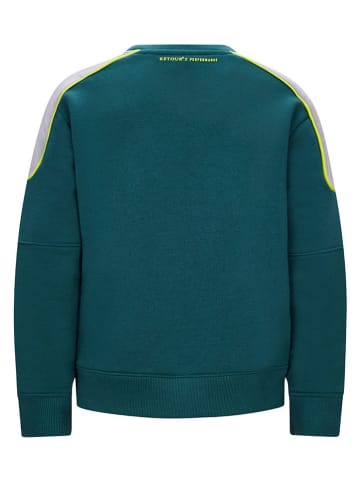Sweatshirt "Hound" in Grün