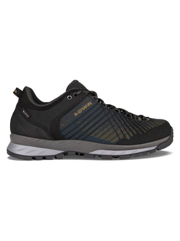 Trekkingschoenen "Carezza GTX" zwart