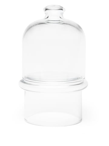 Keksbehälter in Transparent - (H)11 x Ø 10 cm