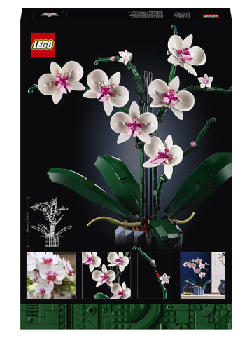 LEGO® Icons Orchidee - 18+