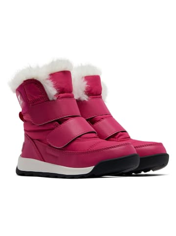 Winterboots "Whitney II" in Pink