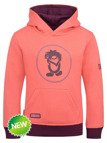 Hoodie "Troll" in Orange