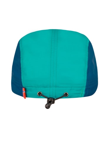 Pet "Troll" blauw/groen