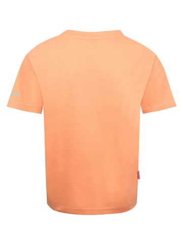 Shirt "Falketind" oranje