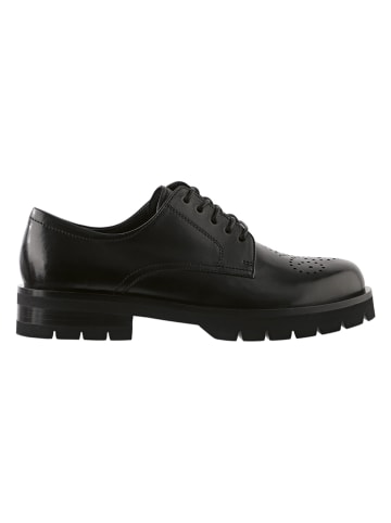 Leder-Schnürschuhe "Rocky" in Schwarz