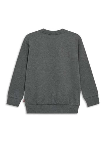 Sweatshirt in Grau