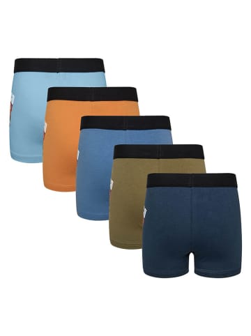 5er-Set: Boxershorts in Bunt