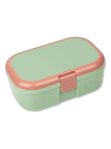Lunchbox in Türkis