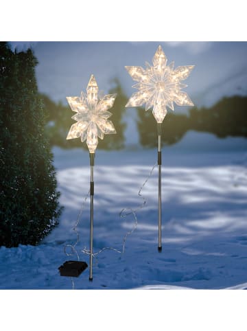 2-delige set: ledtuinstekers warmwit - (H)66 cm