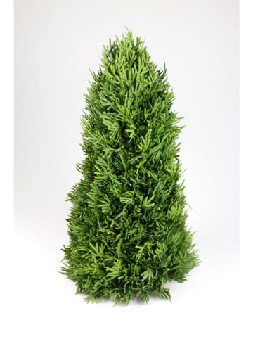 Sztuczne drzewko "Thuja" w kolorze zielonym - wys. 40 cm