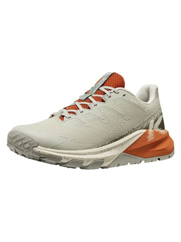 Buty trekkingowe "Targhee" w kolorze beżowym