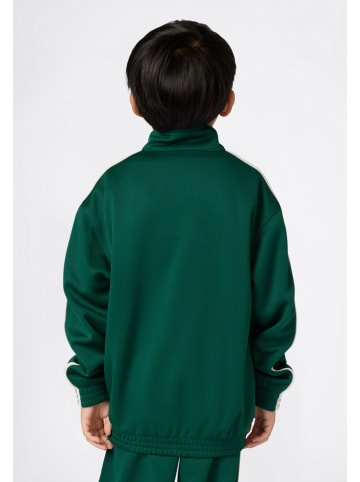 Bluza w kolorze zielonym