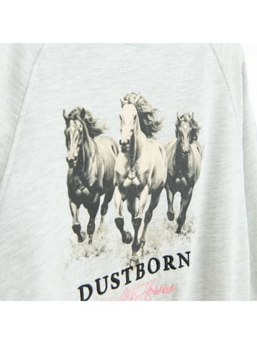 Bluza w kolorze szarym