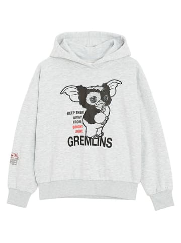 Hoodie in Grau