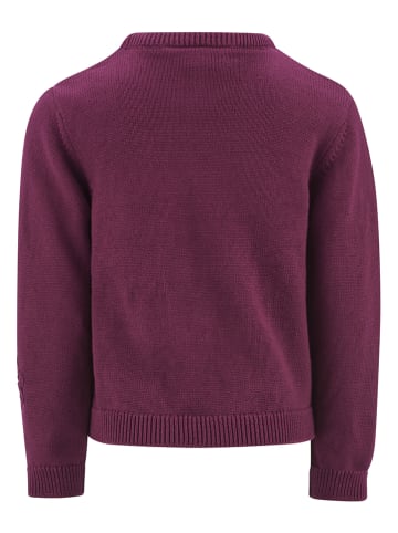 Pullover in Bordeaux
