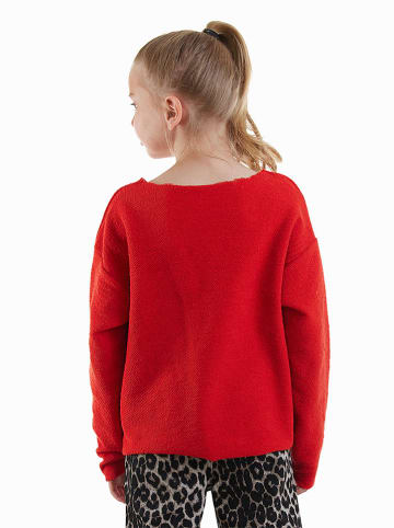 Sweatshirt in Rot