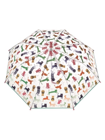 Regenschirm in Weiß/ Bunt