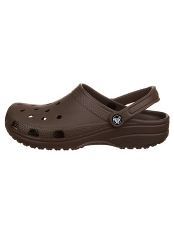Crocs bruin