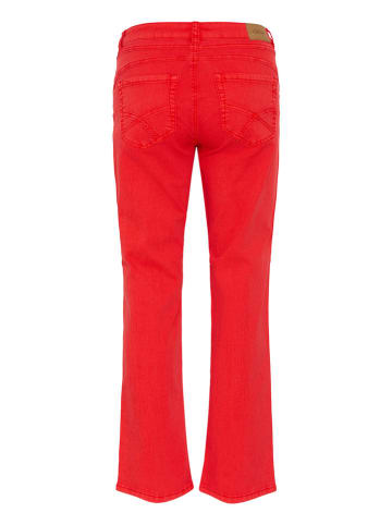 Broek rood
