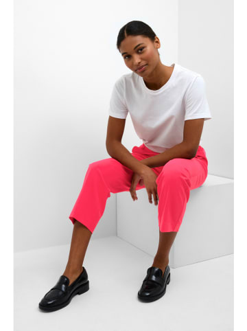 Chinobroek beskleurig