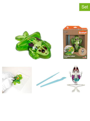 Zestaw "Dissect-It - Frog" do eksperymentowania - 6+ (produkt niespodzianka)