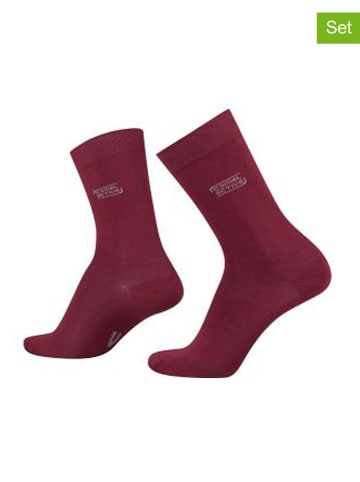 2-delige set: sokken bordeaux