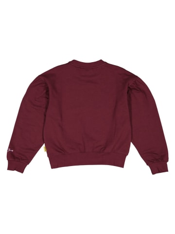 Bluza w kolorze bordowym