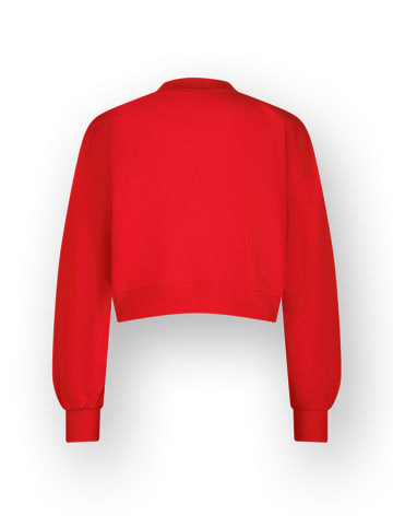 Sweatshirt in Rot