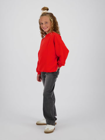 Spijkerbroek - wide leg - antraciet