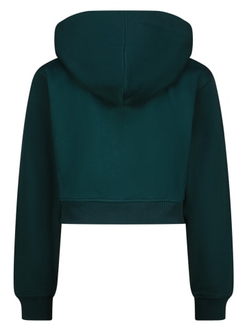 Bluza "Nawine" w kolorze zielonym
