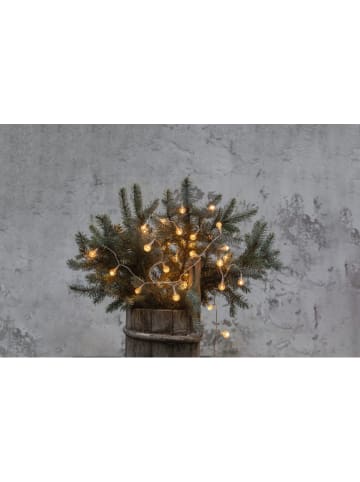 Ledlichtketting "Berry Outdoor" transparant - (B)500 cm - Ø 0,00