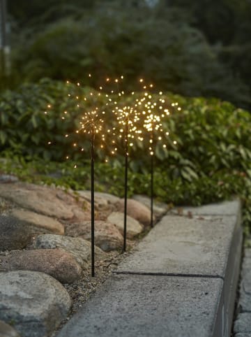 3-delige set: ledtuinstekers "Firework Outdoor" zwart - (B)65 x (H)200 cm