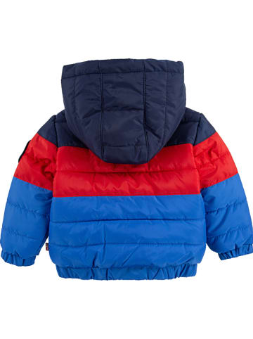Winterjacke in Blau/ Rot