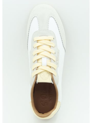 Leder-Sneakers in Weiß/ Beige