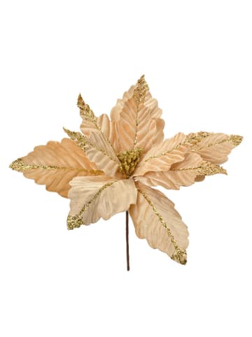 2er-Set: Dekopflanzen in Beige/ Gold - (H)36 cm