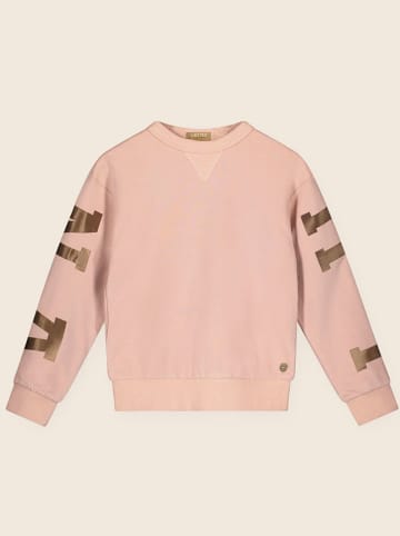 Sweatshirt lichtroze/goudkleurig