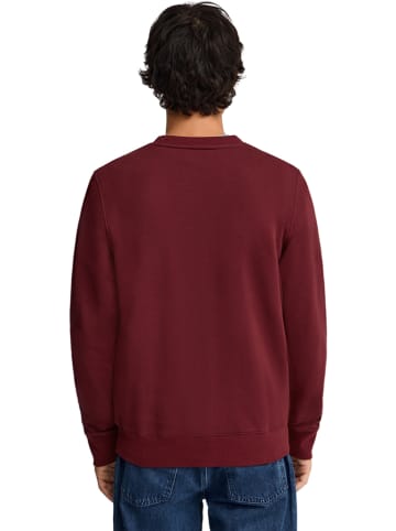 Bluza w kolorze bordowym