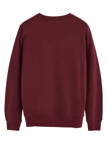 Bluza w kolorze bordowym